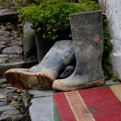 Clovelly Welly!