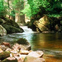 River Erme at Ivybridge