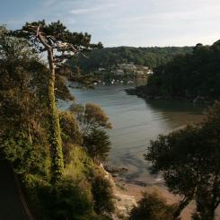 View to South Sands - Salcombe