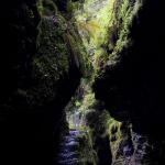 Lydford Gorge