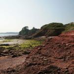 Red Cliffs - Paignton