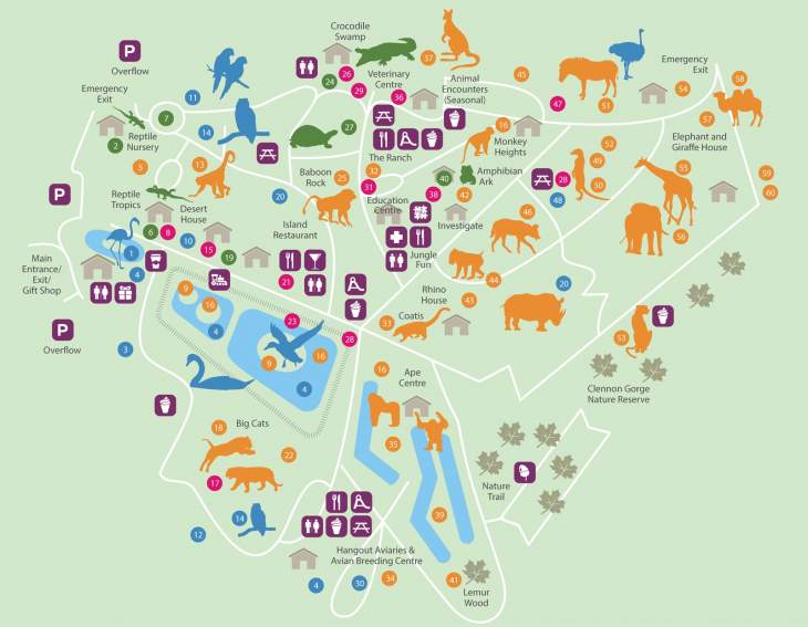 Paignton Zoo Devon Guide