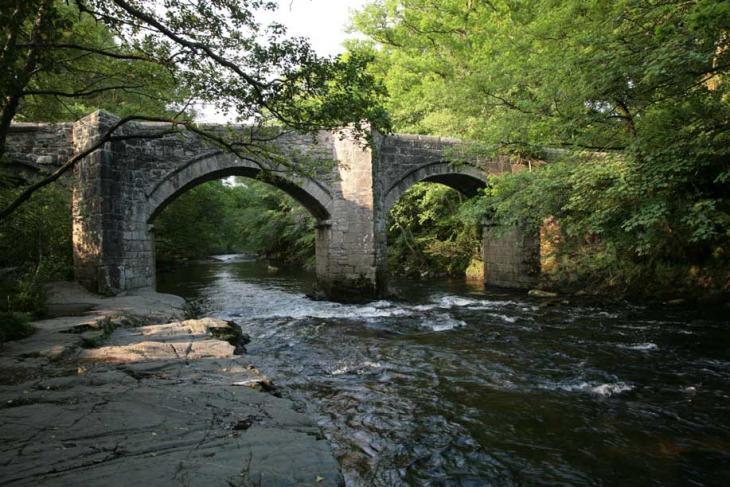 River Dart Bridge near Holne Chase